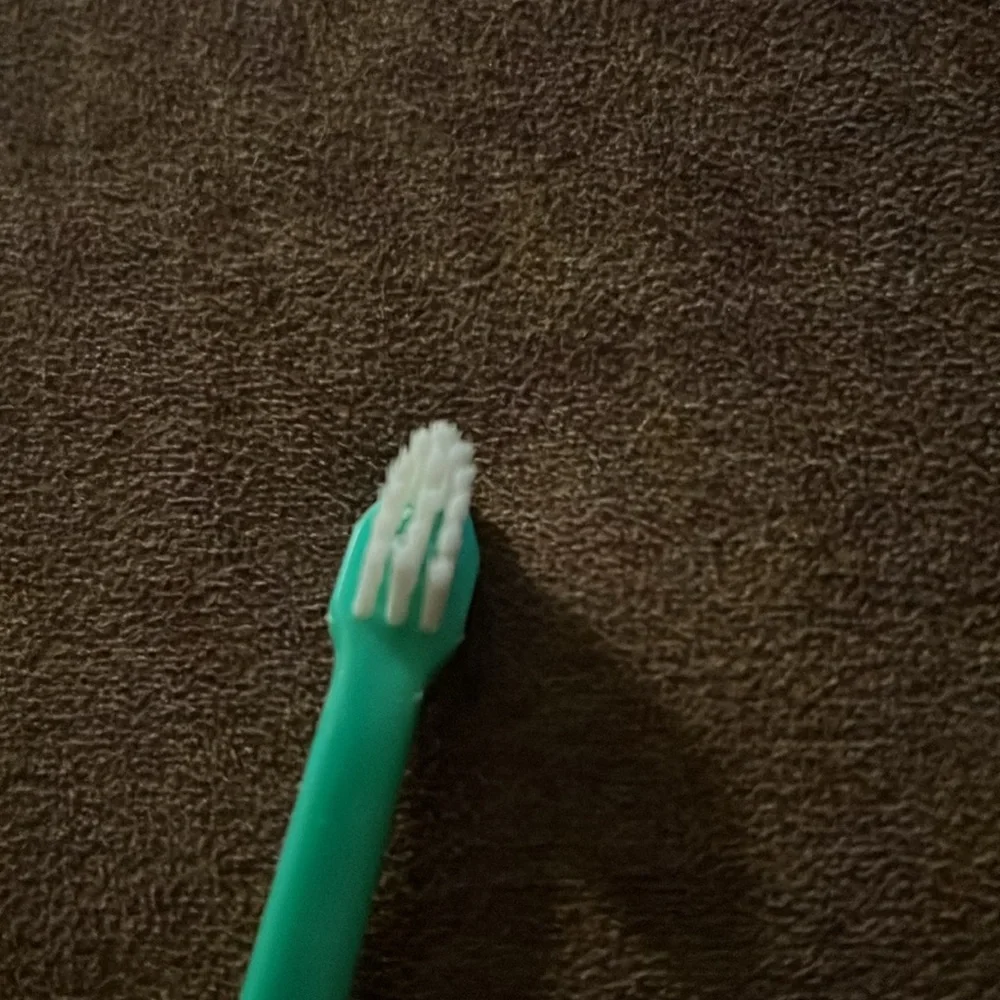 Double Ended Pet Toothbrush